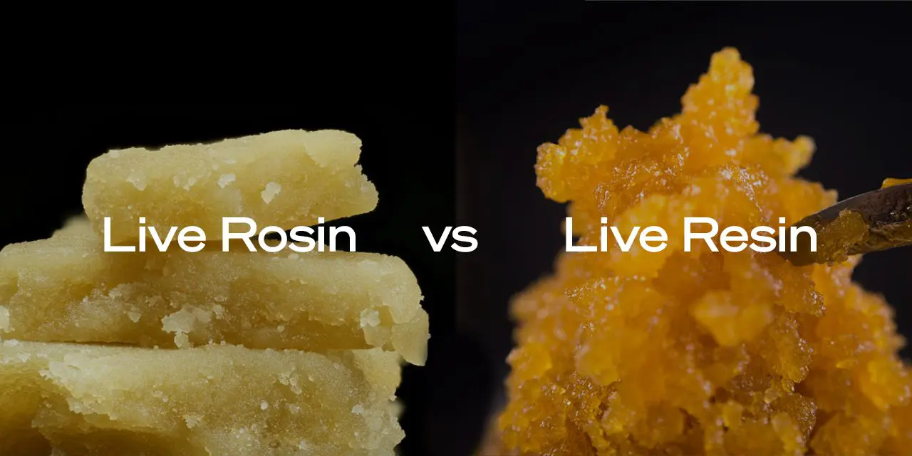 Live Rosin VS Live Resin
