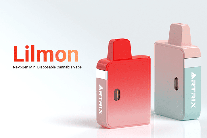 Lilmon's Innovation