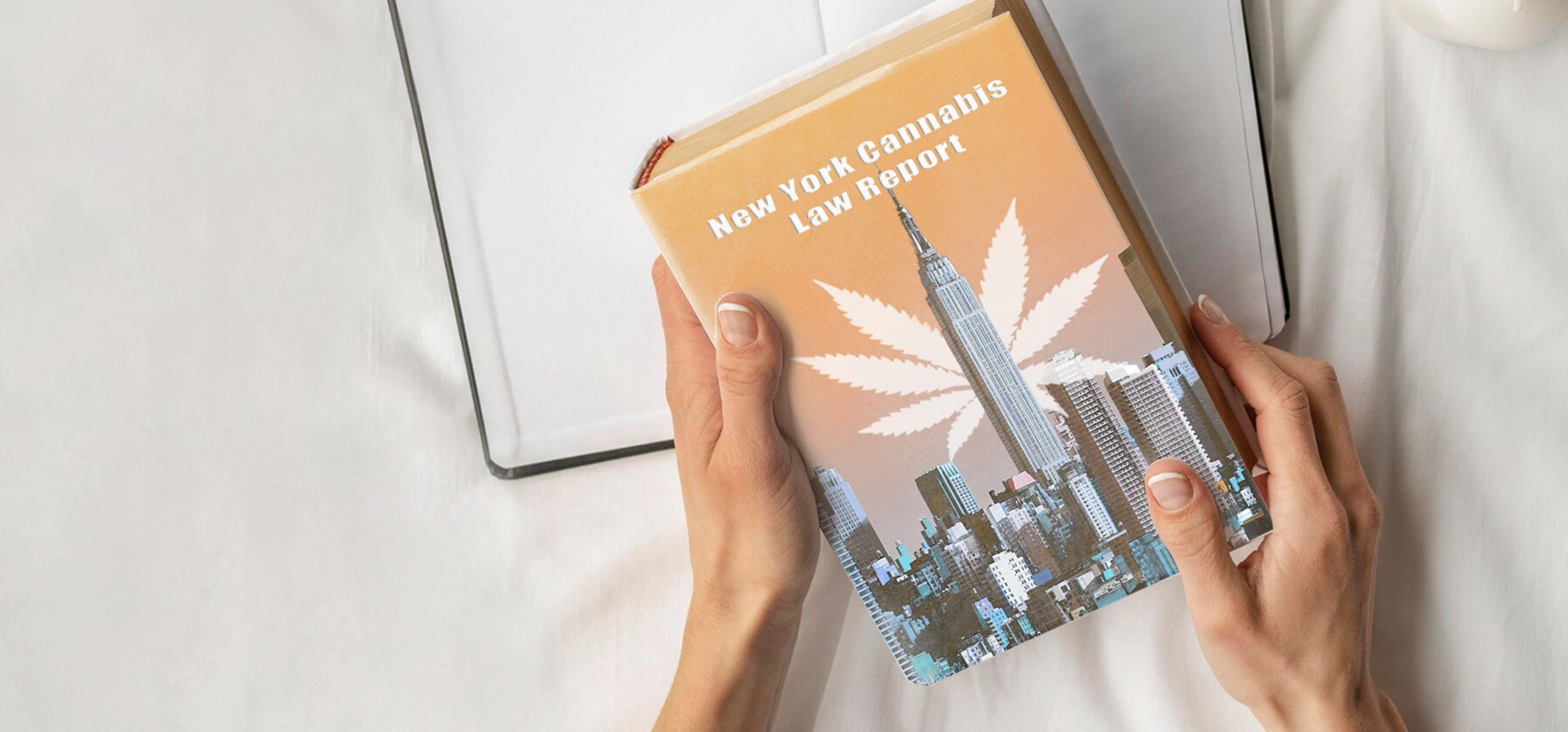 Cannabis Laws&Regulations Analysis