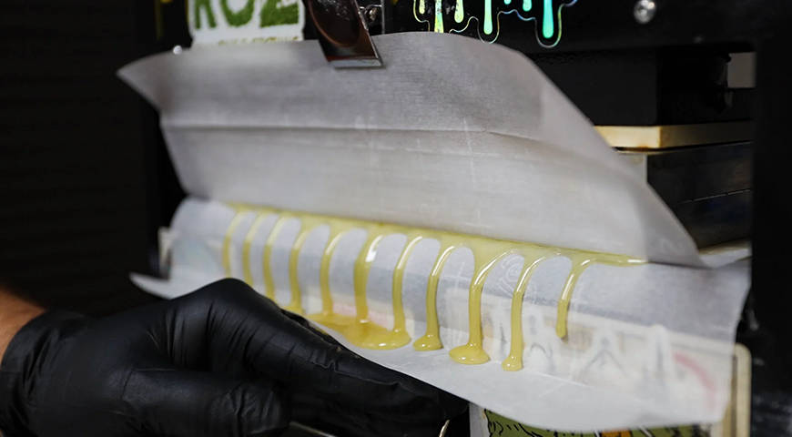live rosin making-press
