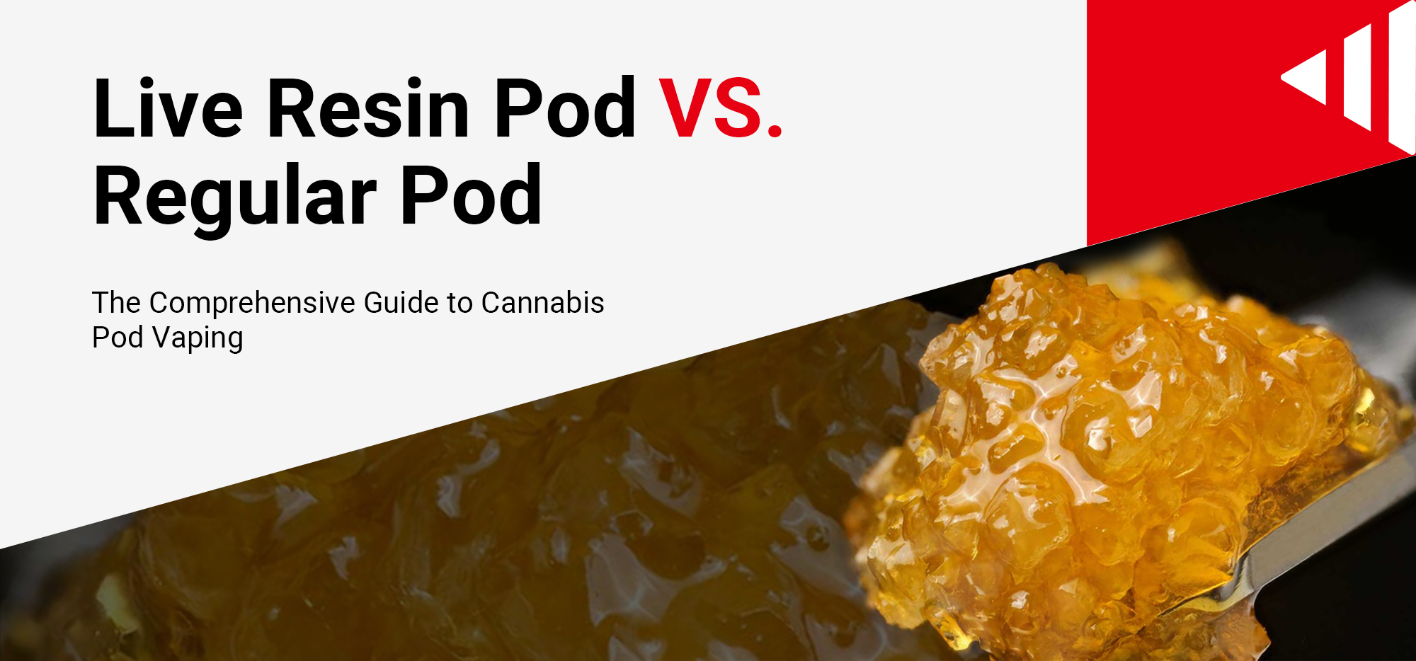 Cannabis 101