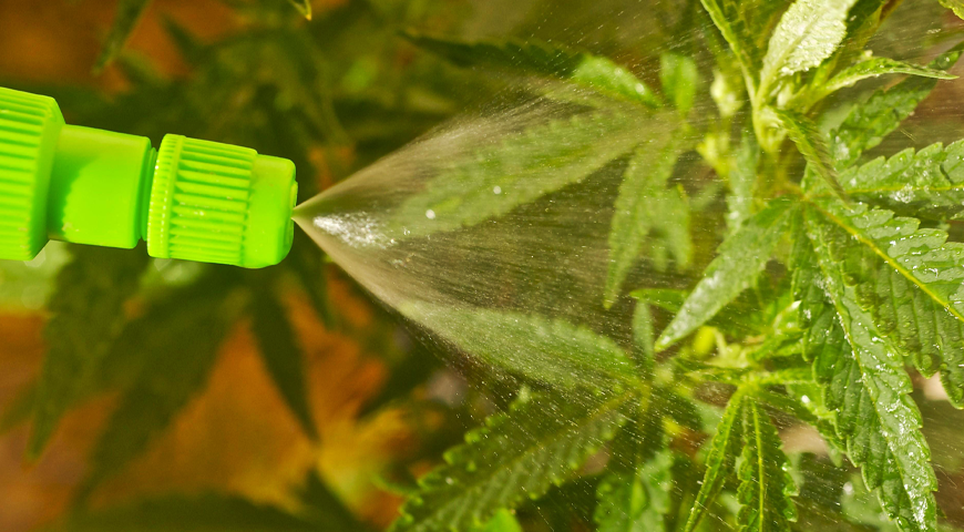 Weed pesticides