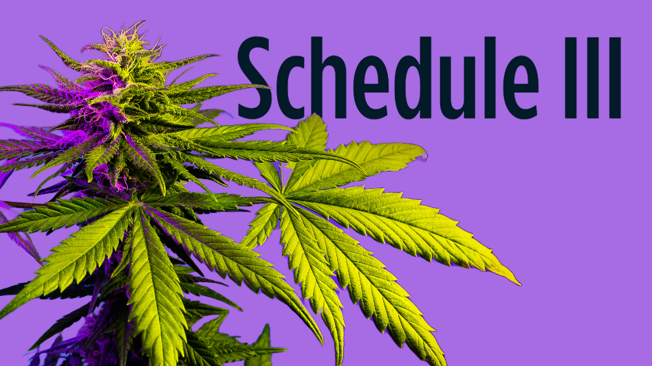 schedule 3