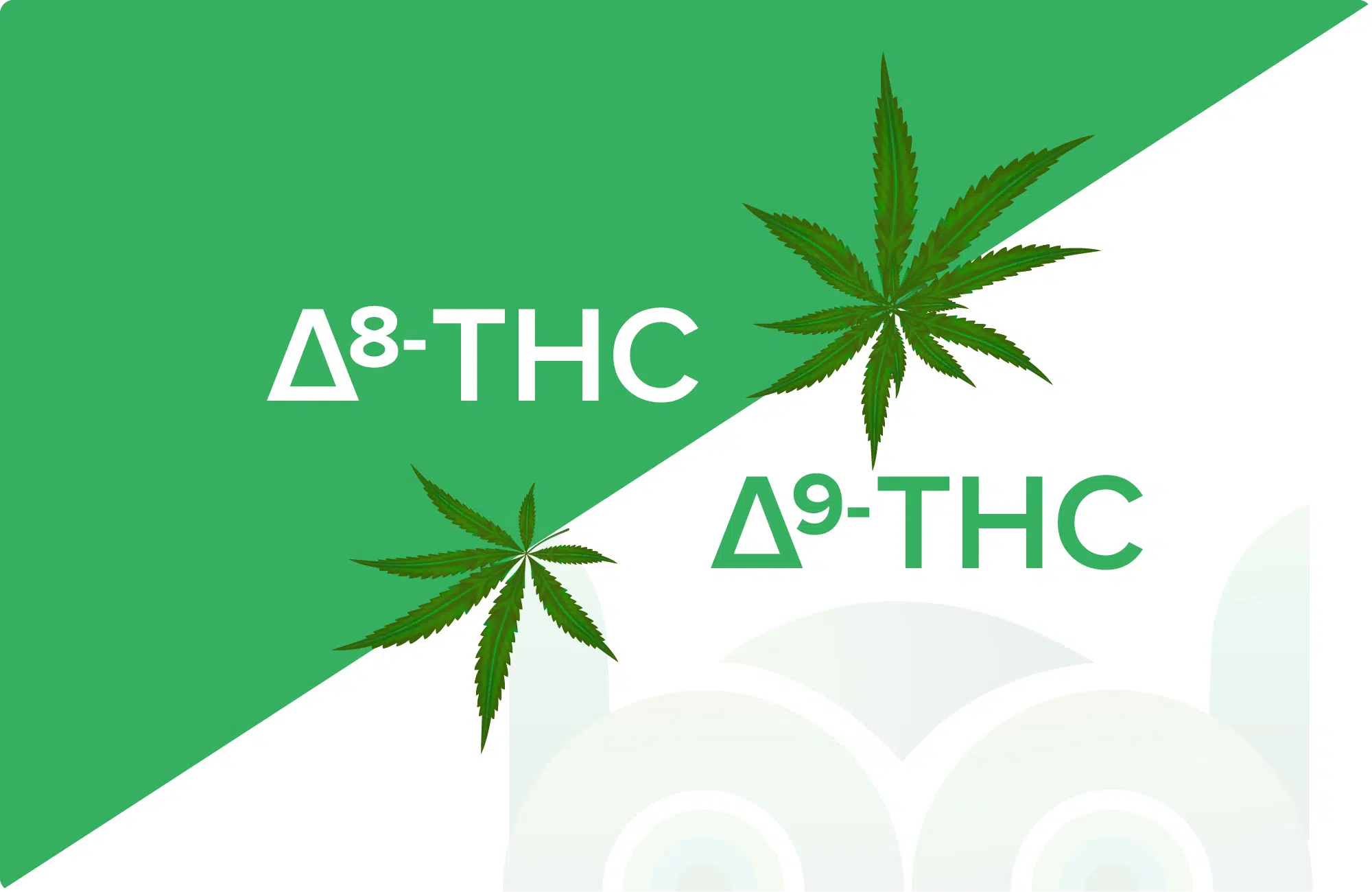 Delta 8 THC vs Delta 9