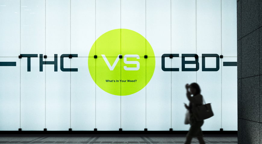 THC vs CBD