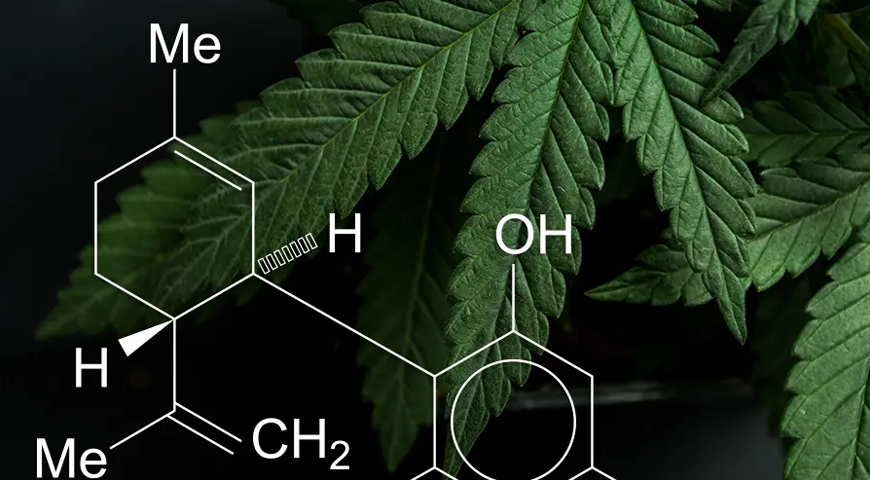 The Science of Cannabis