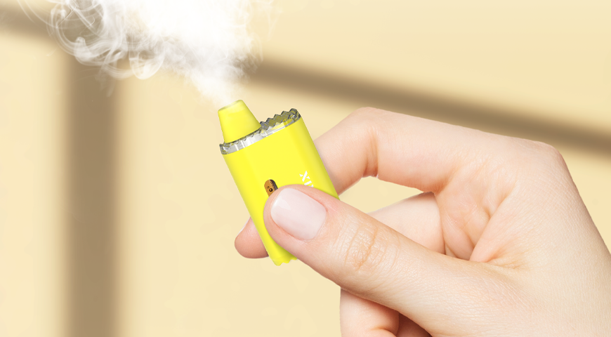 Why 2g THC Vape Disposables Are Dominating the Market