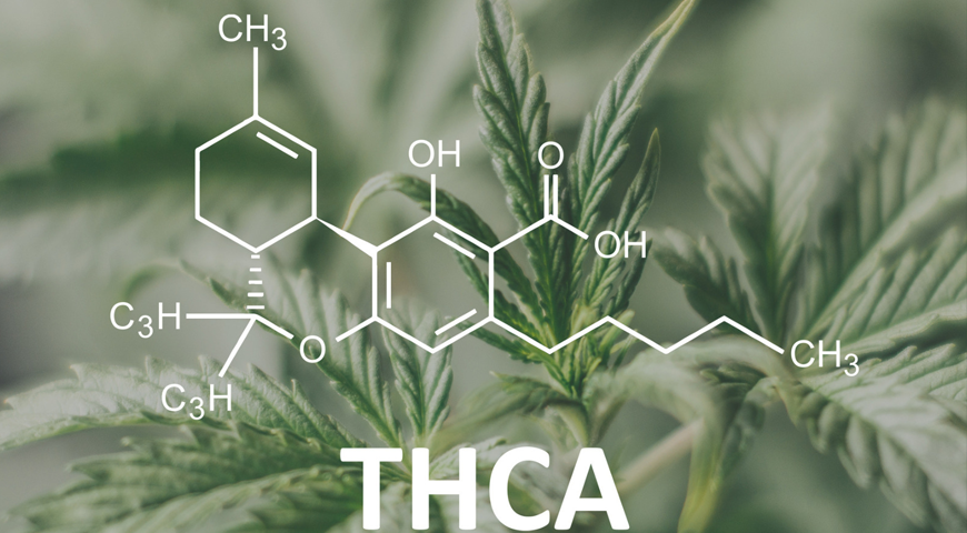 What is THCa Disposable Vape