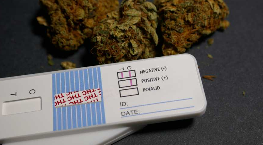 THCa Drug Test