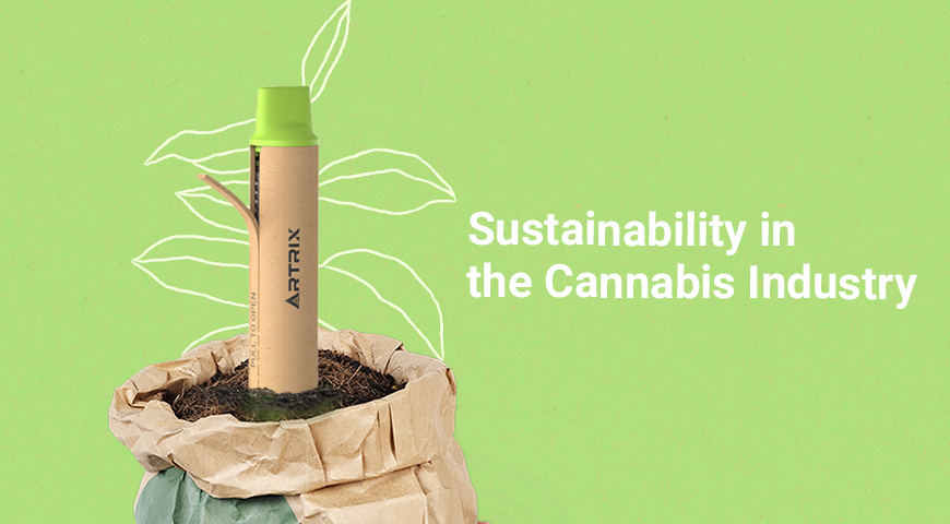 Sustainability in the Cannabis Industry