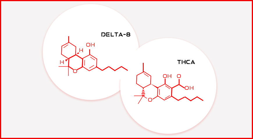 THCA vs Delta-8