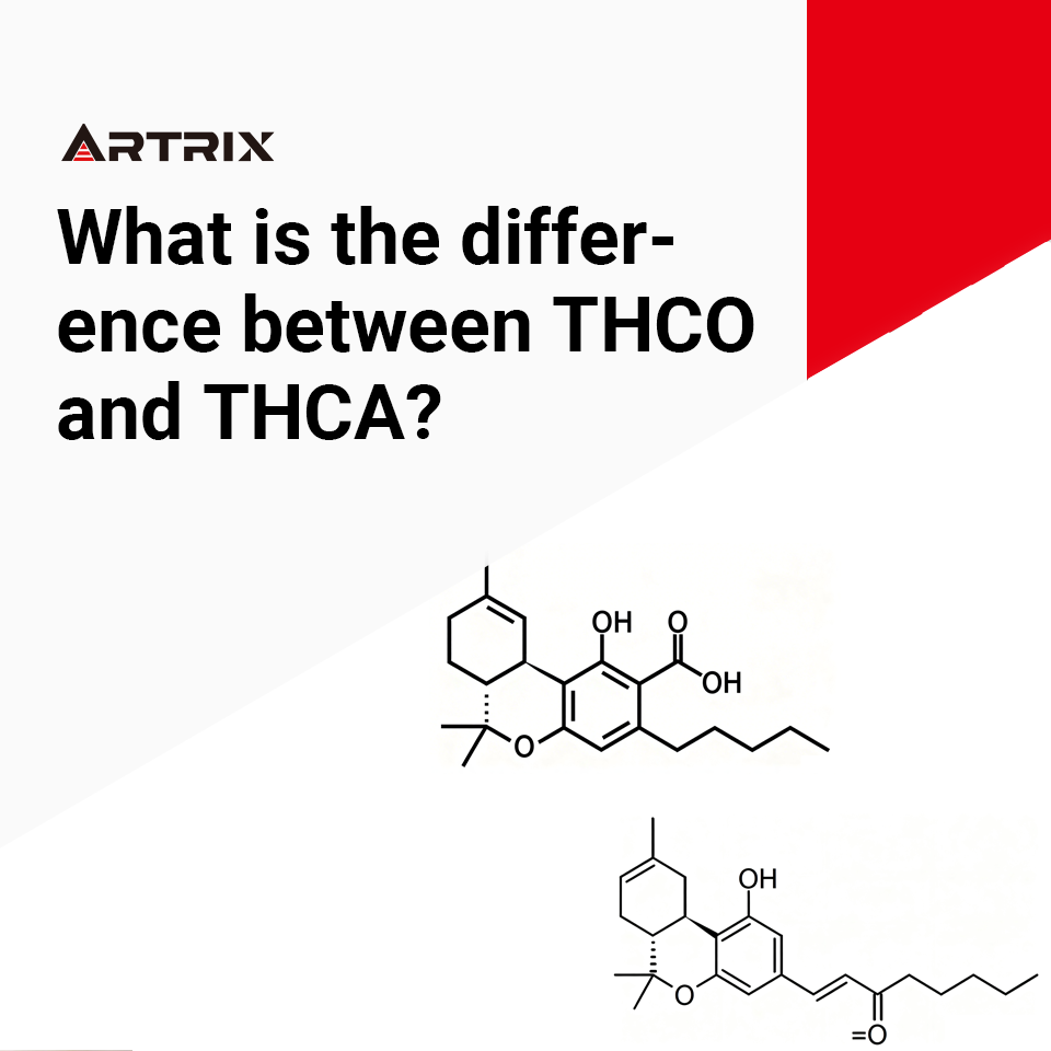 THCO vs THCA