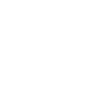 RigGo voltage setting icon