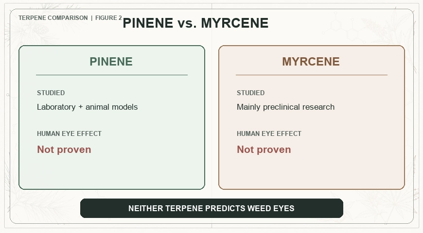 Pinene and myrcene comparison showing that neither terpene has a proven effect on cannabis-related eye redness in humans.